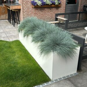 Plantenbakken